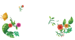 Case by Case Wines